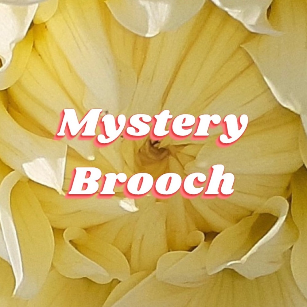 Mystery Brooch ~ A Jewelry Surprise shipped to your doorstep!